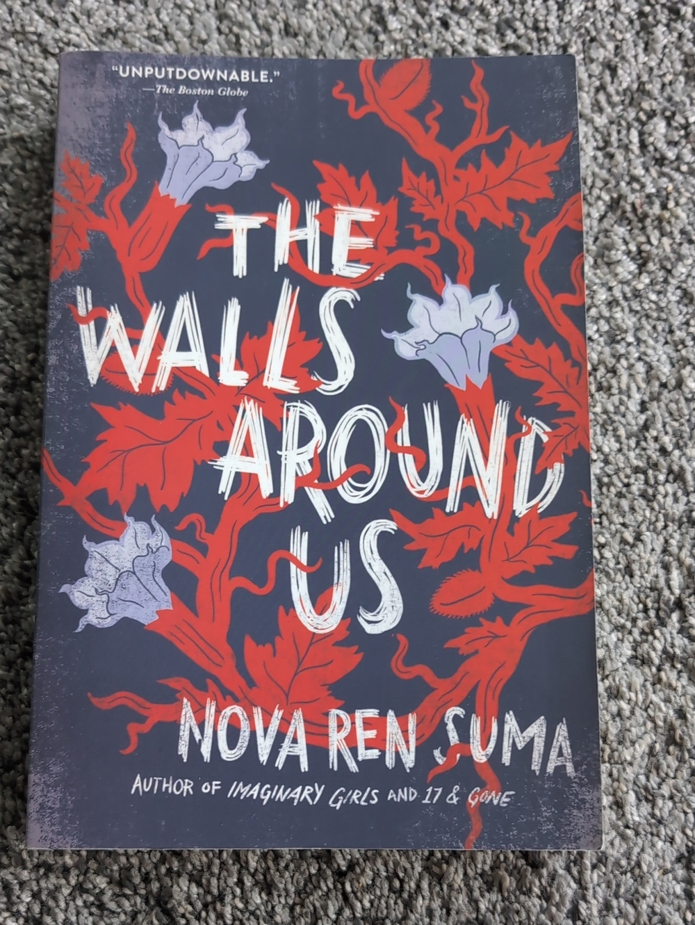 The Walls Around Us Decorative Book Cover - Red & Purple
